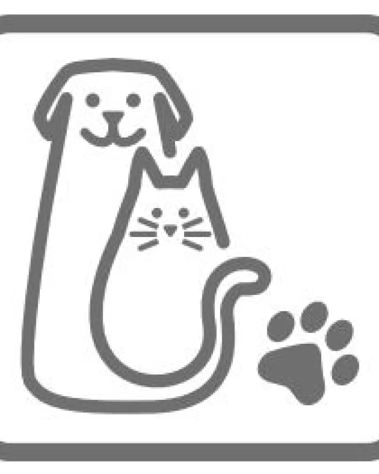 The best pet-friendly furniture for homes with cats and dogs