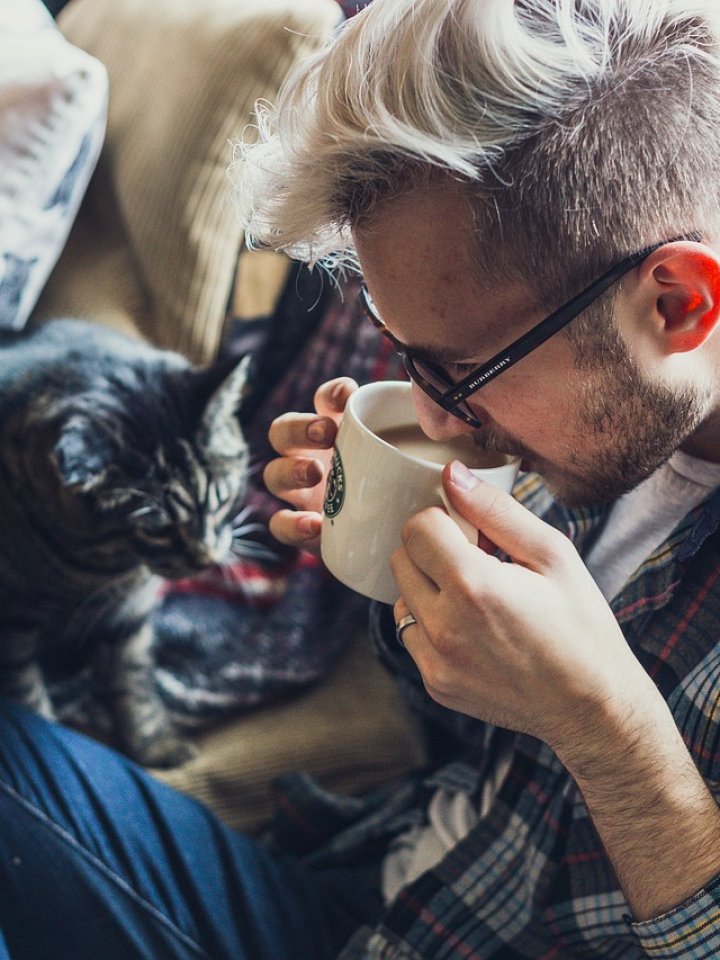 The Ultimate Pet-Friendly Sofa Guide