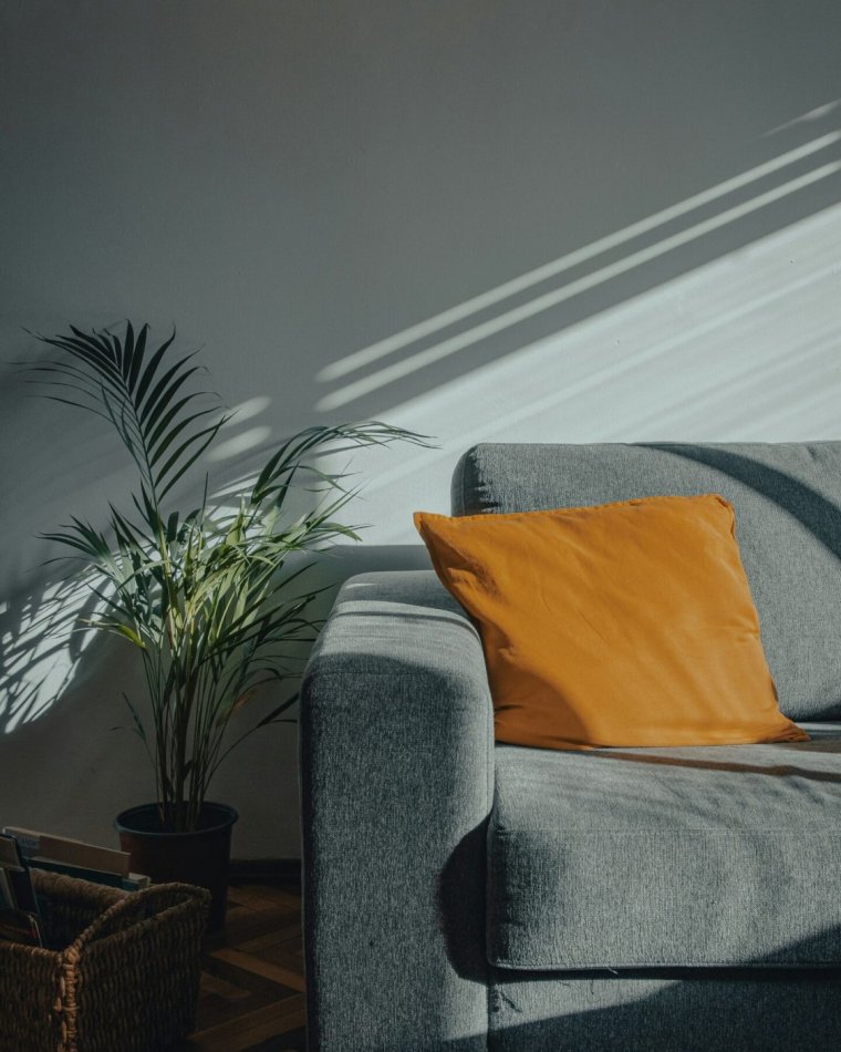 Best Sofas for Back Pain: How to Choose Supportive Seating