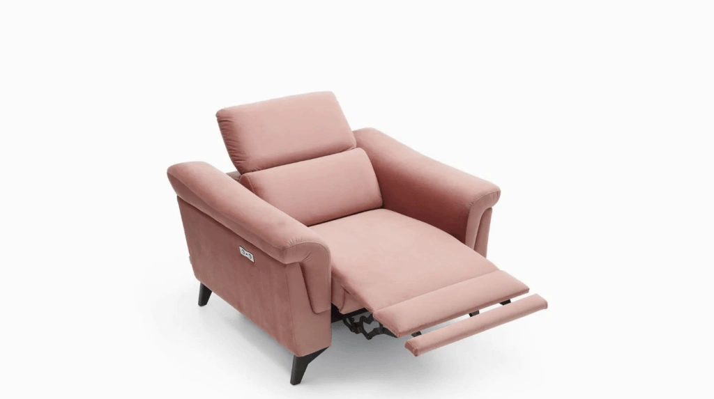 Riser recliner chairs winter